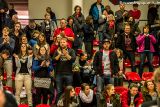 20160213-037.jpg
